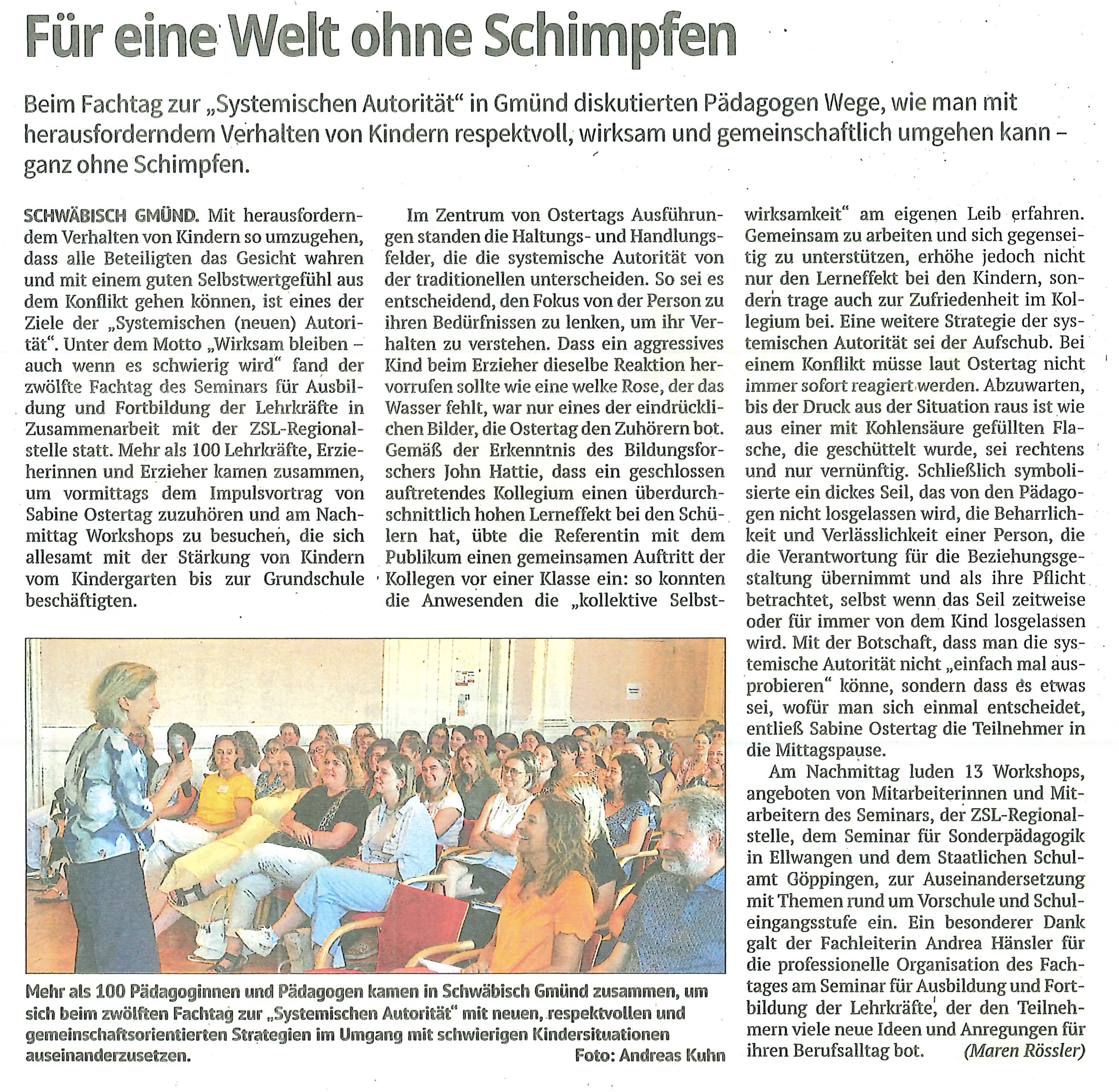 Presseartikel Remszeitung